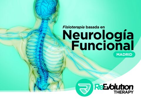 Fisioterapia basada en Neurología Funcional (presencial Madrid)